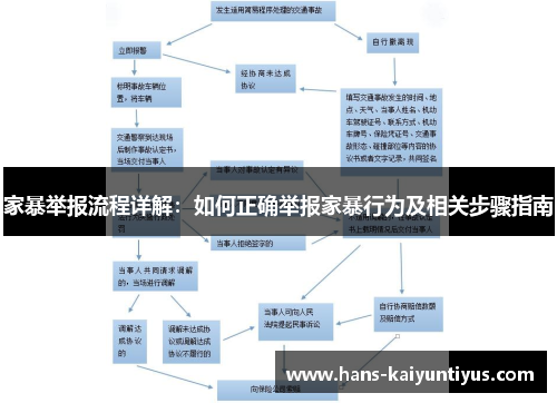 家暴举报流程详解：如何正确举报家暴行为及相关步骤指南