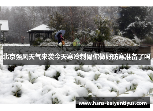 北京强风天气来袭今天寒冷刺骨你做好防寒准备了吗