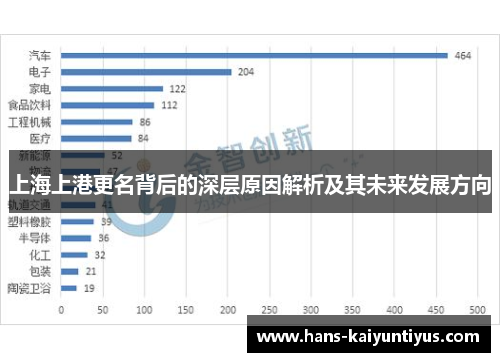 上海上港更名背后的深层原因解析及其未来发展方向
