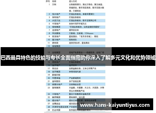 巴西最具特色的技能与专长全面指南助你深入了解多元文化和优势领域