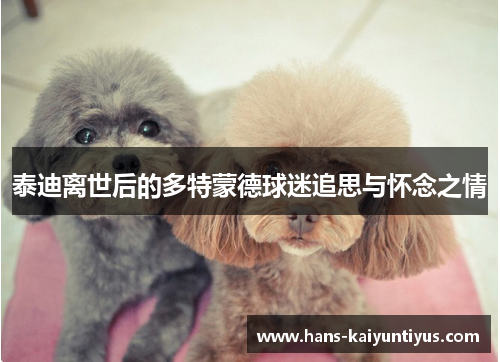 泰迪离世后的多特蒙德球迷追思与怀念之情